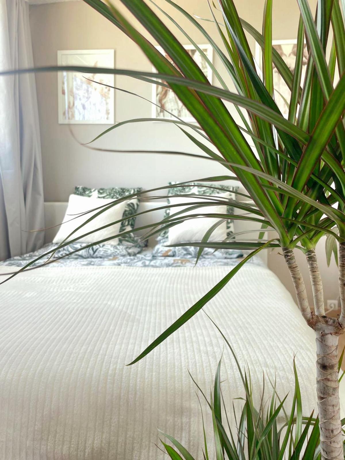 Appartement A La Grande Motte Ngoại thất bức ảnh